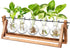 Glass Planter Bulb Vase with Retro Solid Wooden Stand and Metal Swivel Holder for Hydroponics Plants